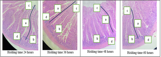 Figure 3: