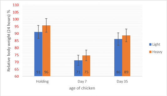 Figure 2: