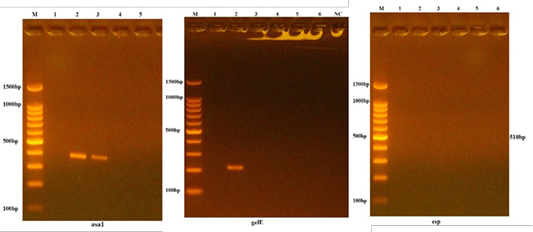 Figure 3: