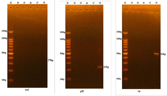 Figure 4: