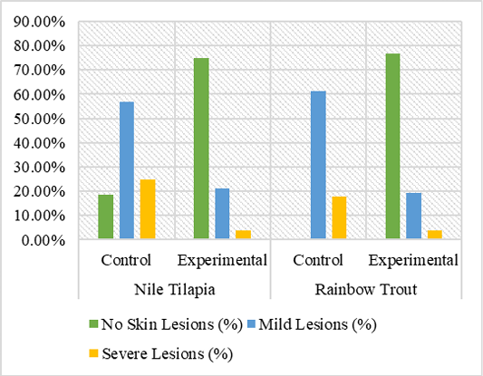 Figure 4: