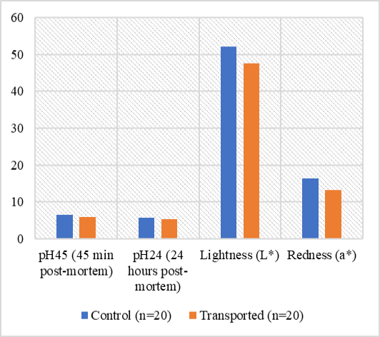 Figure 2: