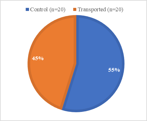 Figure 4: