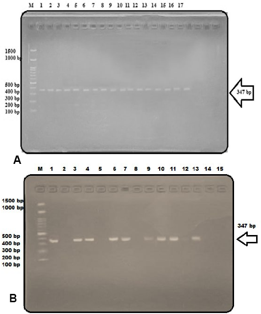 Figure 3: