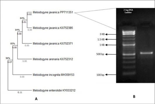 Figure 4: