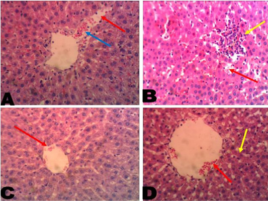 Figure 3:
