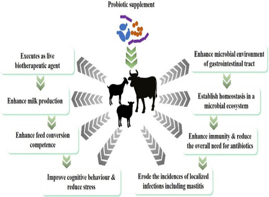 Figure 1: