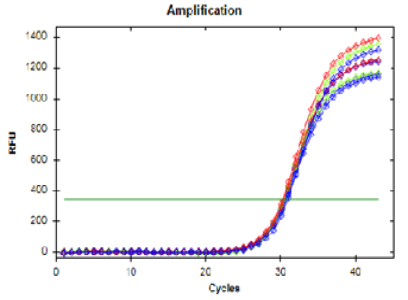 Figure 5:
