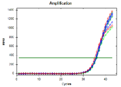 Figure 10: