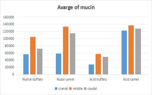 Figure 11:
