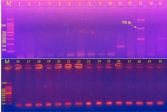 Figure 4:
