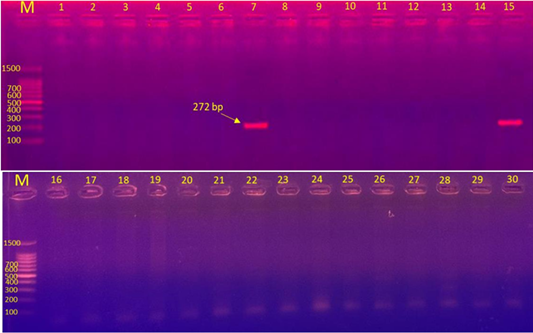 Figure 5:
