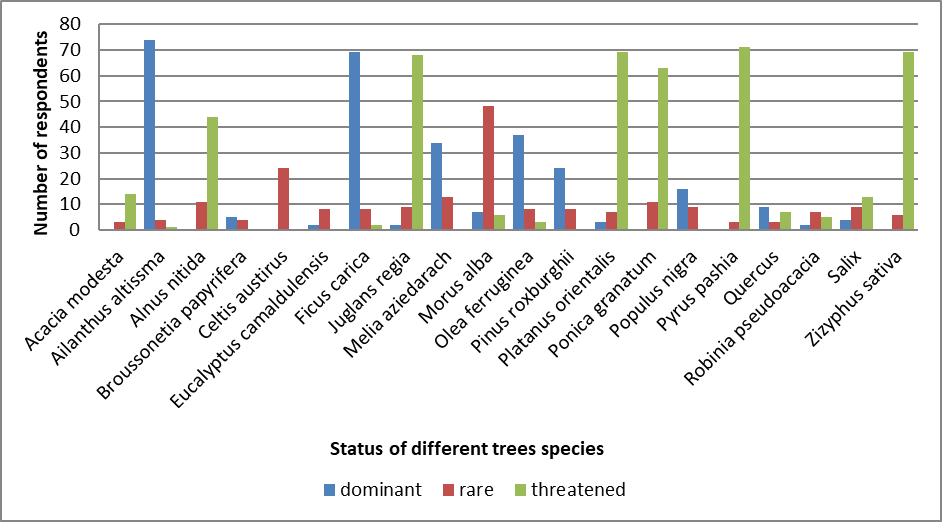 Figure 1: