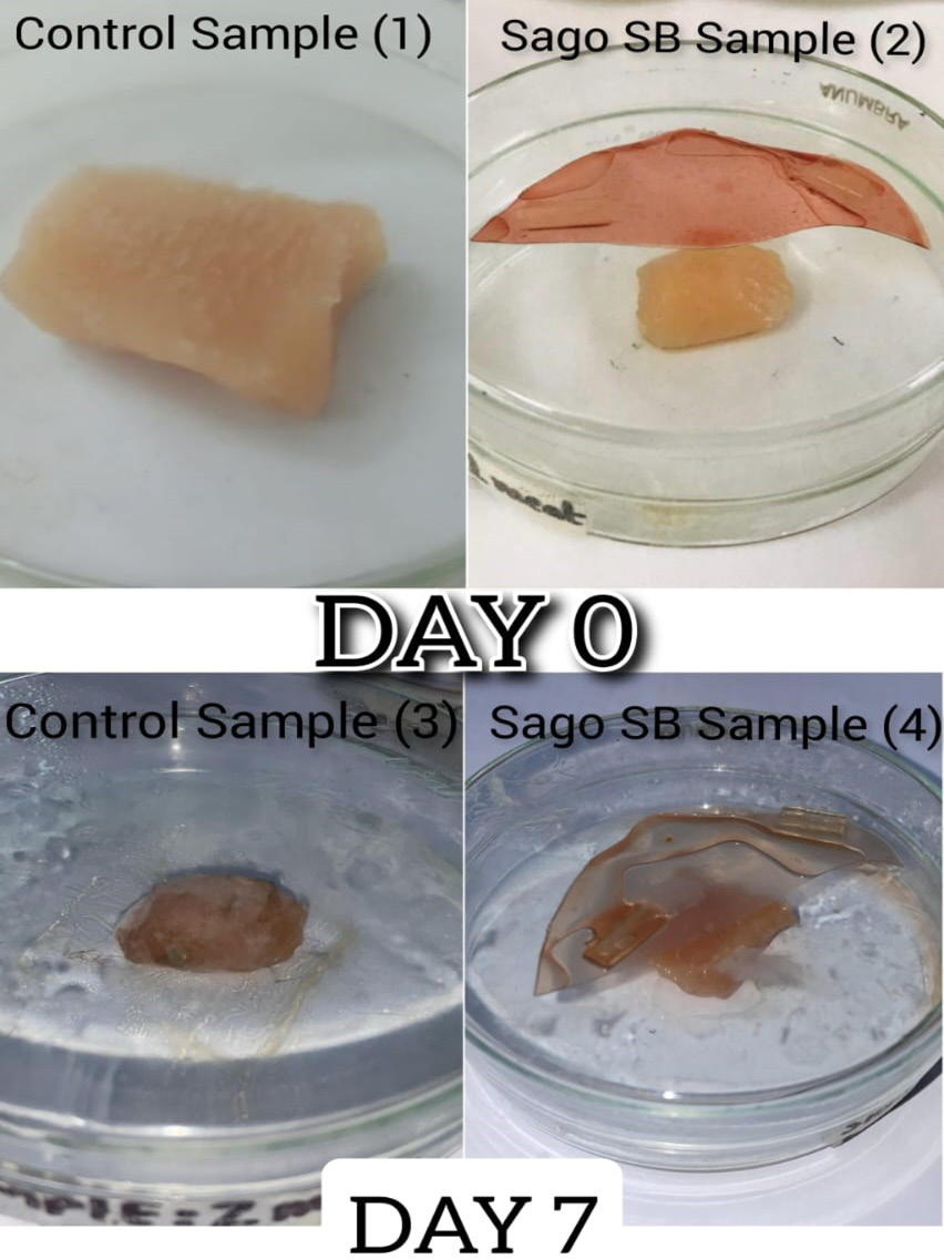 Figure 7: