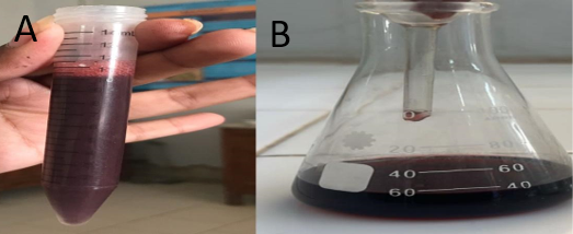 Figure 1:
