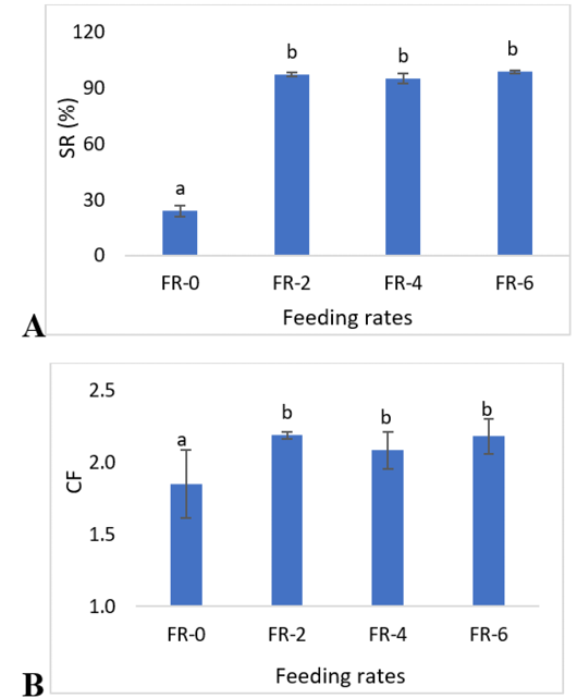 Figure 3: