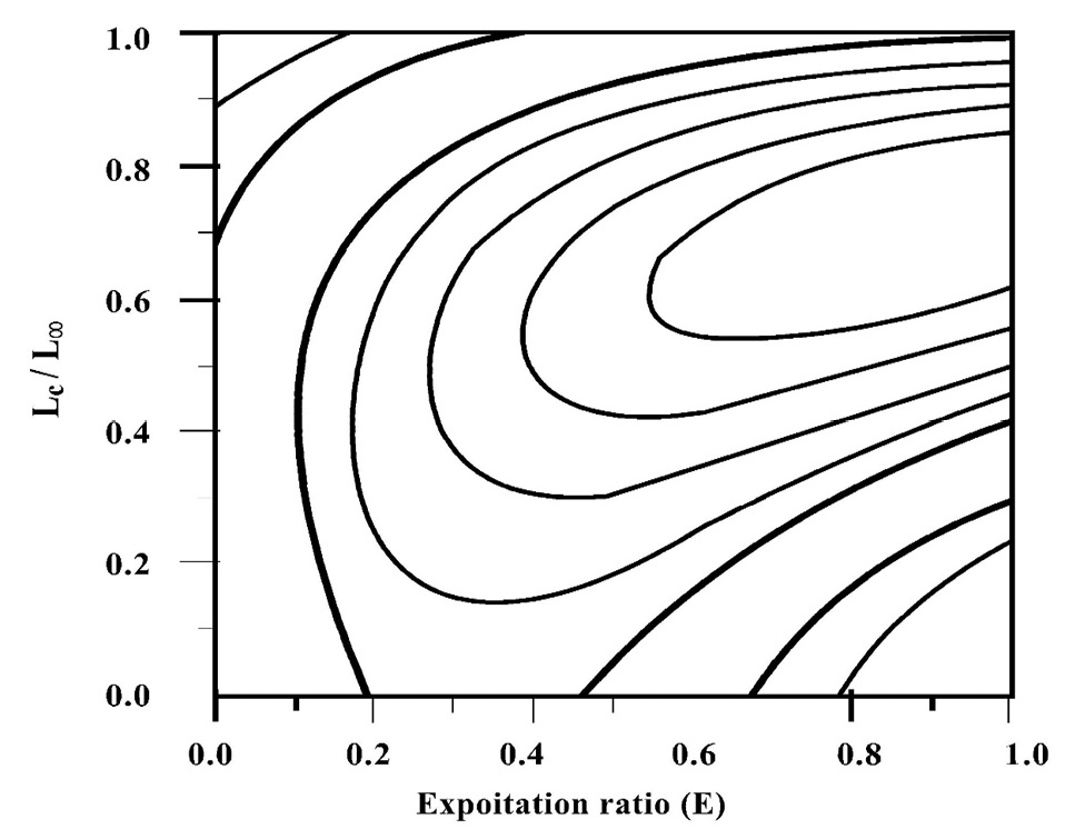 Fig. 7.