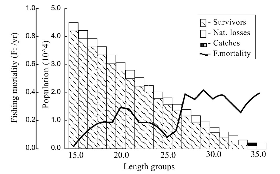 Fig. 6.