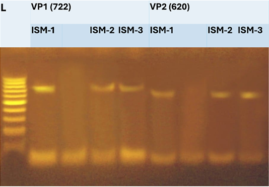 Figure 4:
