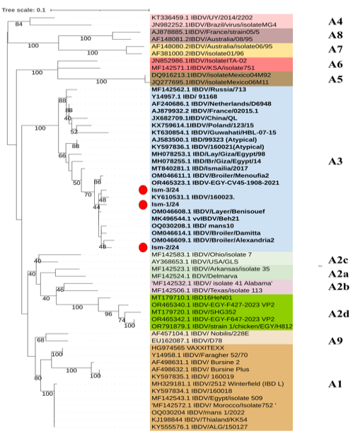 Figure 5: