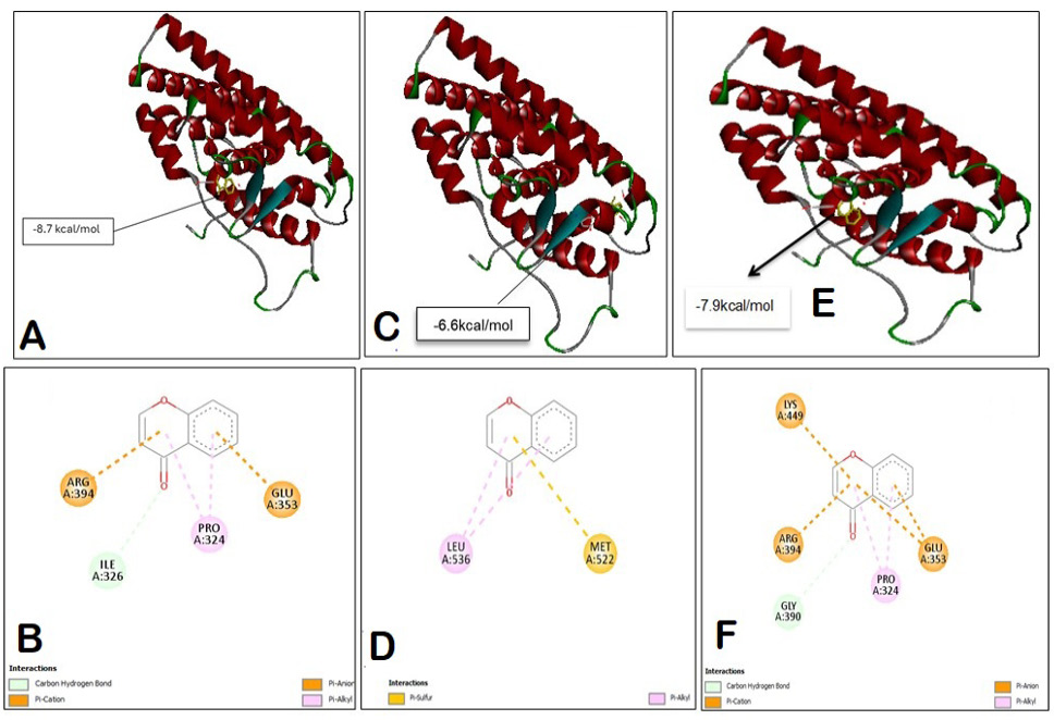 Fig. 4.