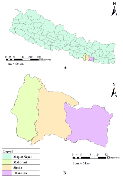 Figure 1: