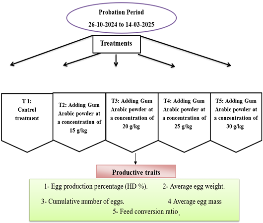 Figure 2: