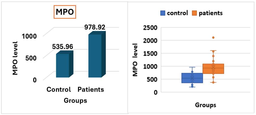 Figure 3: