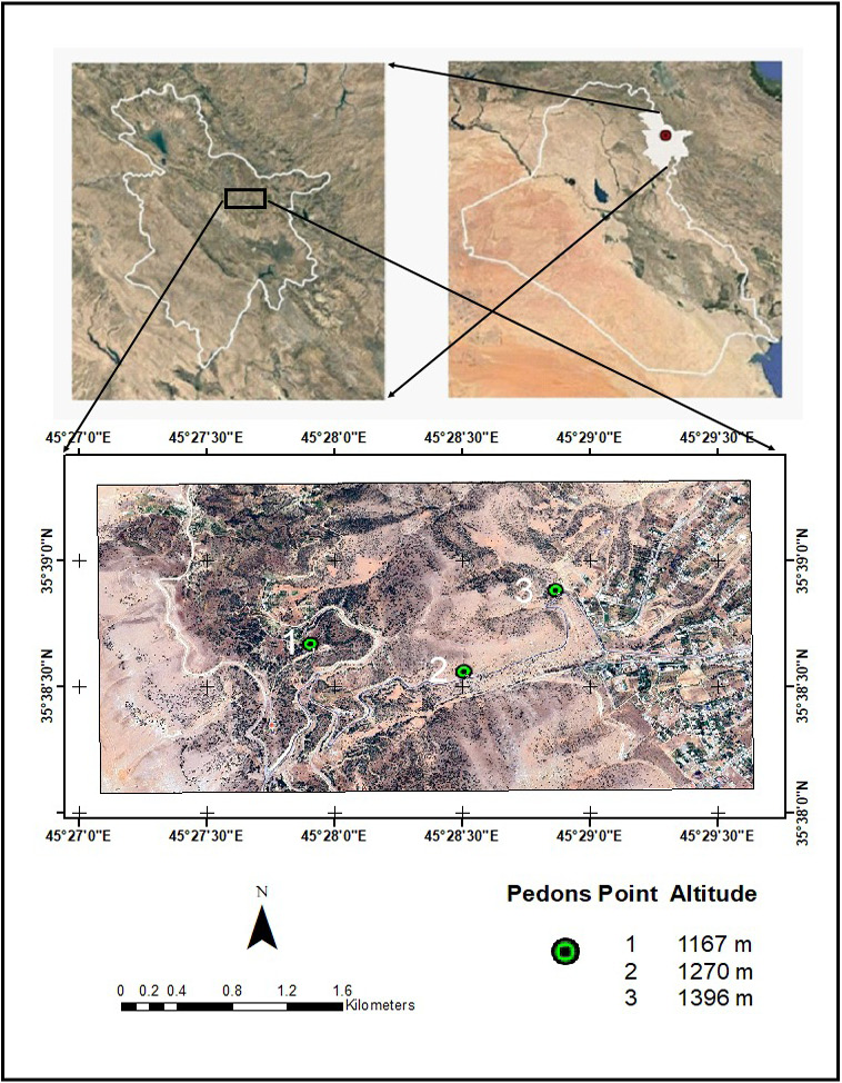 Figure 1: