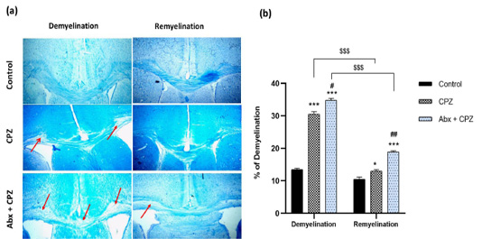 Figure 10: