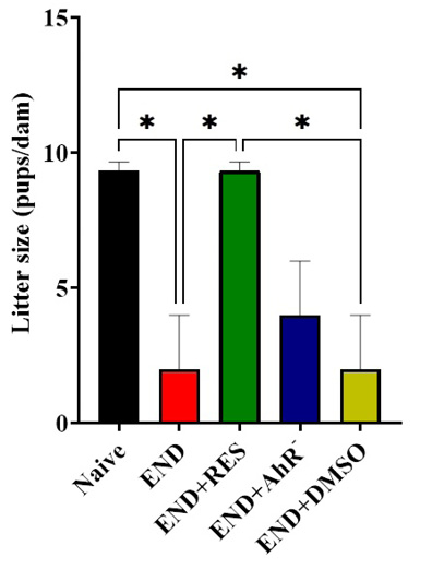 Figure 2: