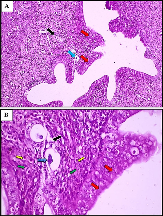 Figure 6: