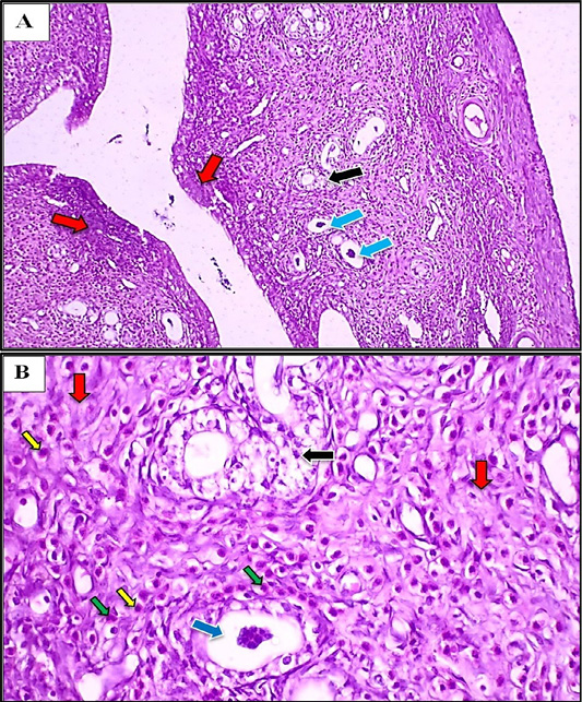 Figure 9: