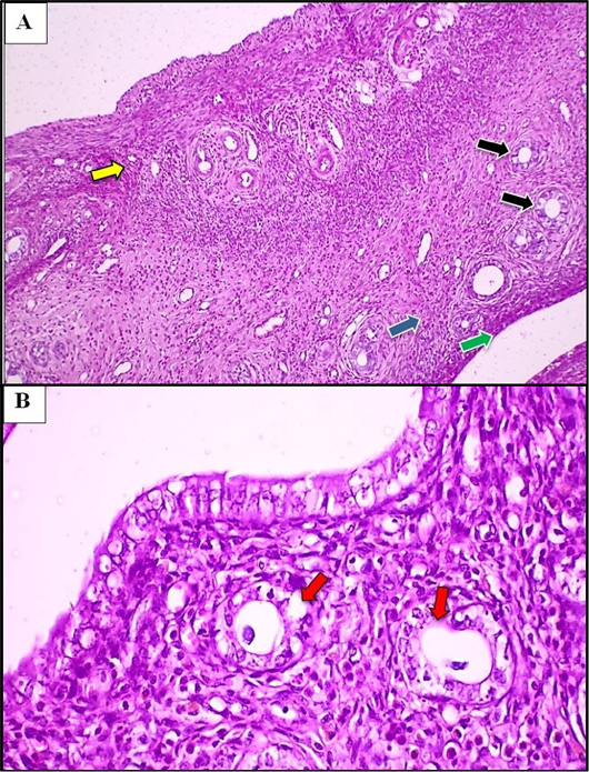 Figure 7: