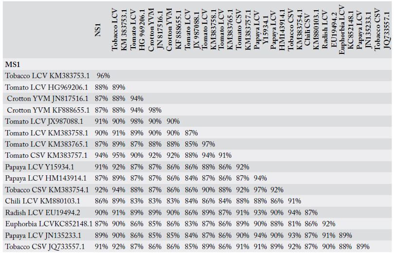 Table 3:
