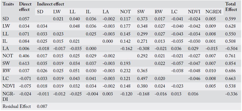 Table 4: