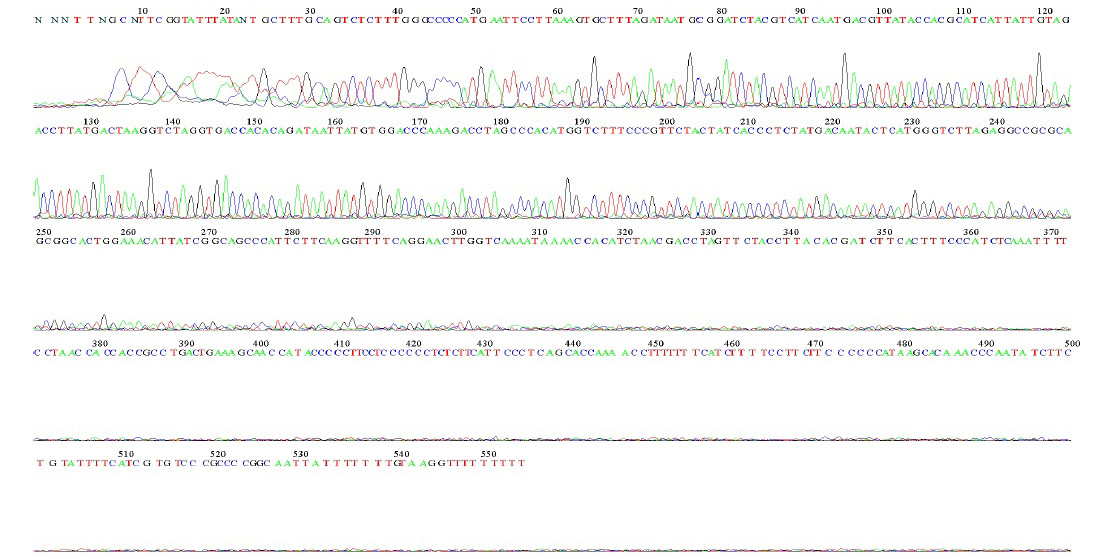 Figure 4: