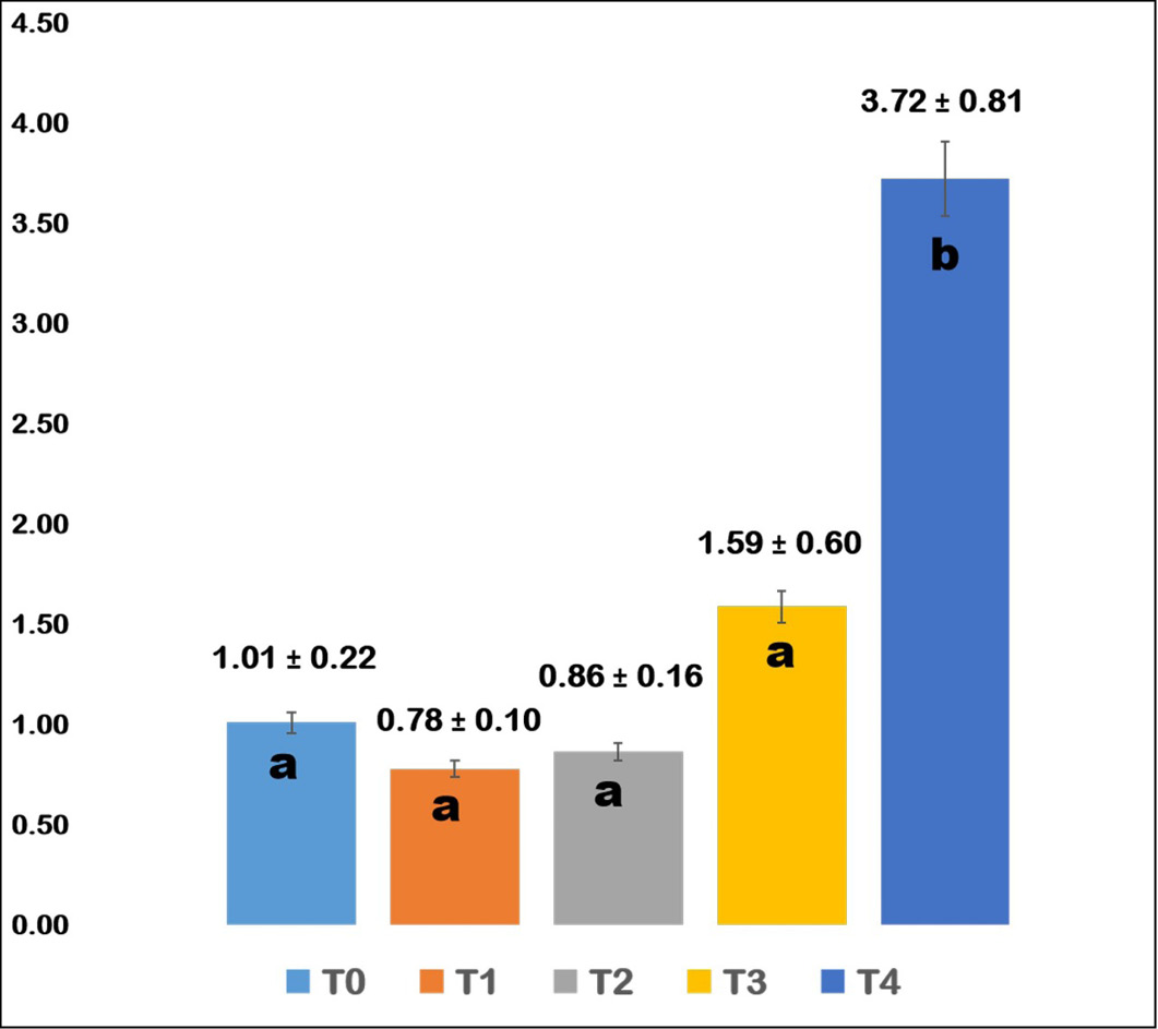 Figure 4: