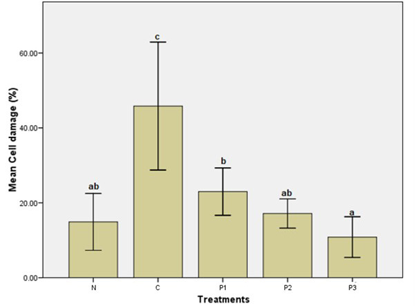 Figure 3: