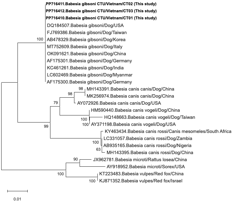 Figure 2: