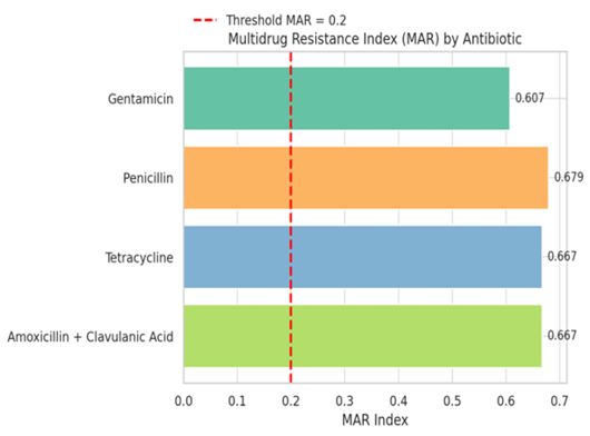 Figure 3: