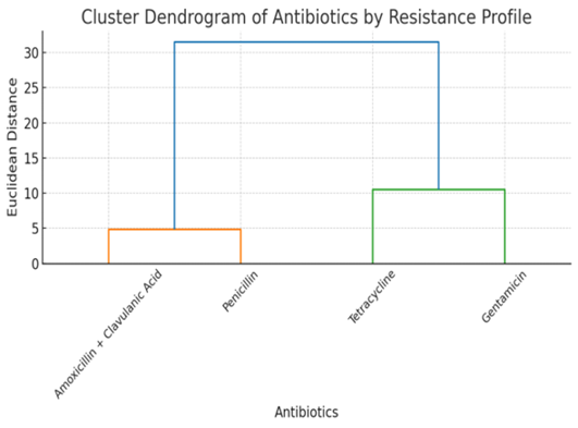 Figure 4:
