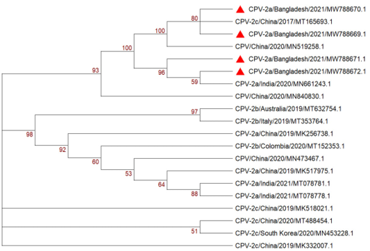 Figure 2: