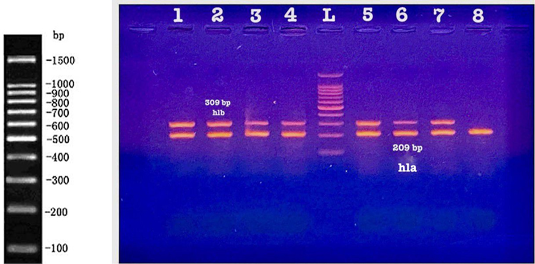 Figure 7: