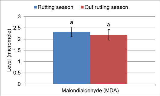 Figure 3: