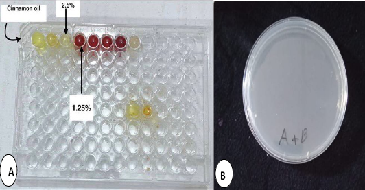 Figure 4: