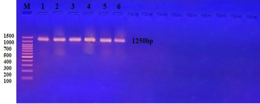 Figure 6: