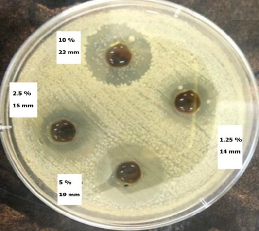 Figure 5: