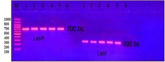 Figure 7: