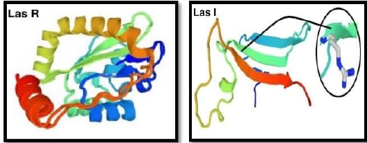 Figure 8: